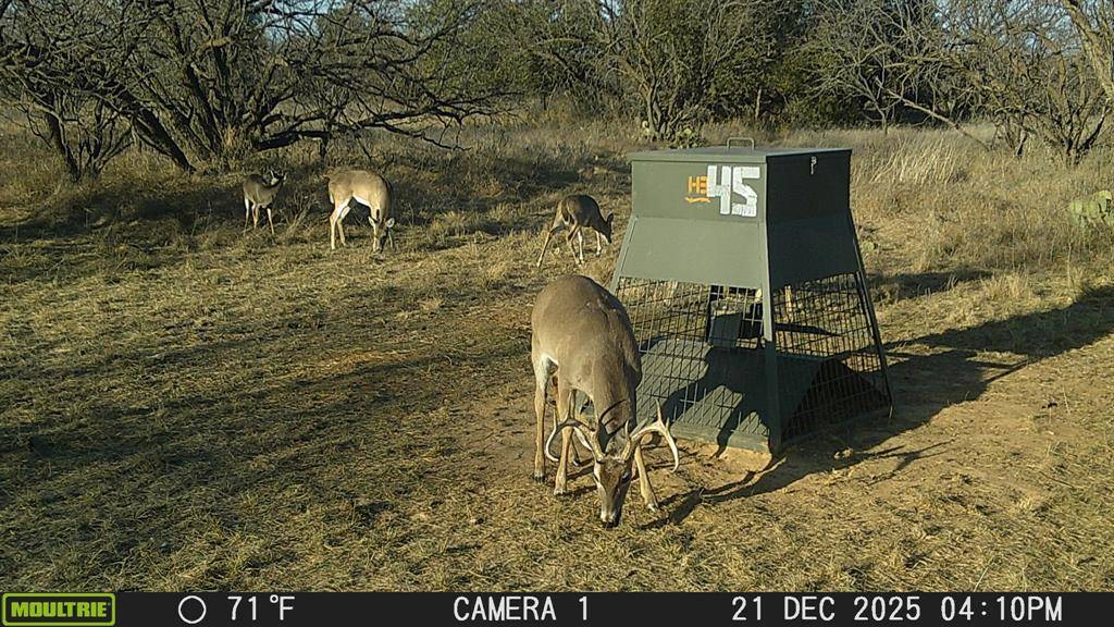 tbd TBD County Road 291, Breckenridge, TX 76464