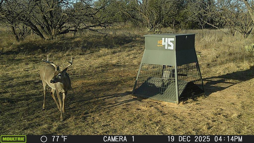 tbd TBD County Rd 291, Breckenridge, TX 76464