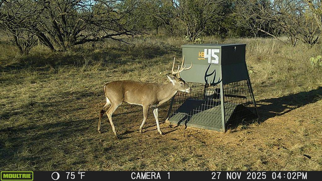 tbd TBD Cnty Rd 291, Breckenridge, TX 76464
