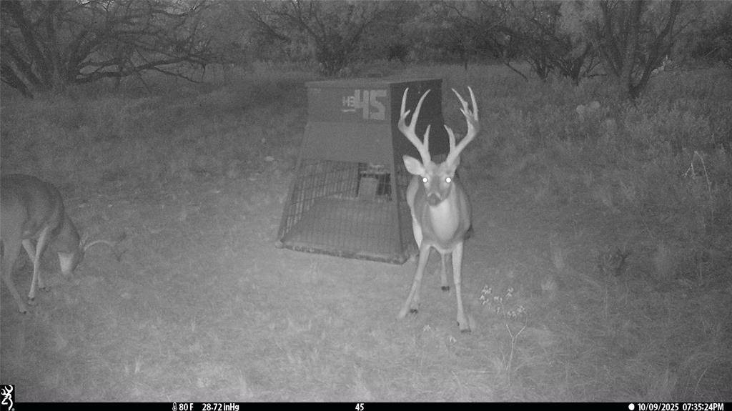 tbd TBD Cntty Rd 291, Breckenridge, TX 76464