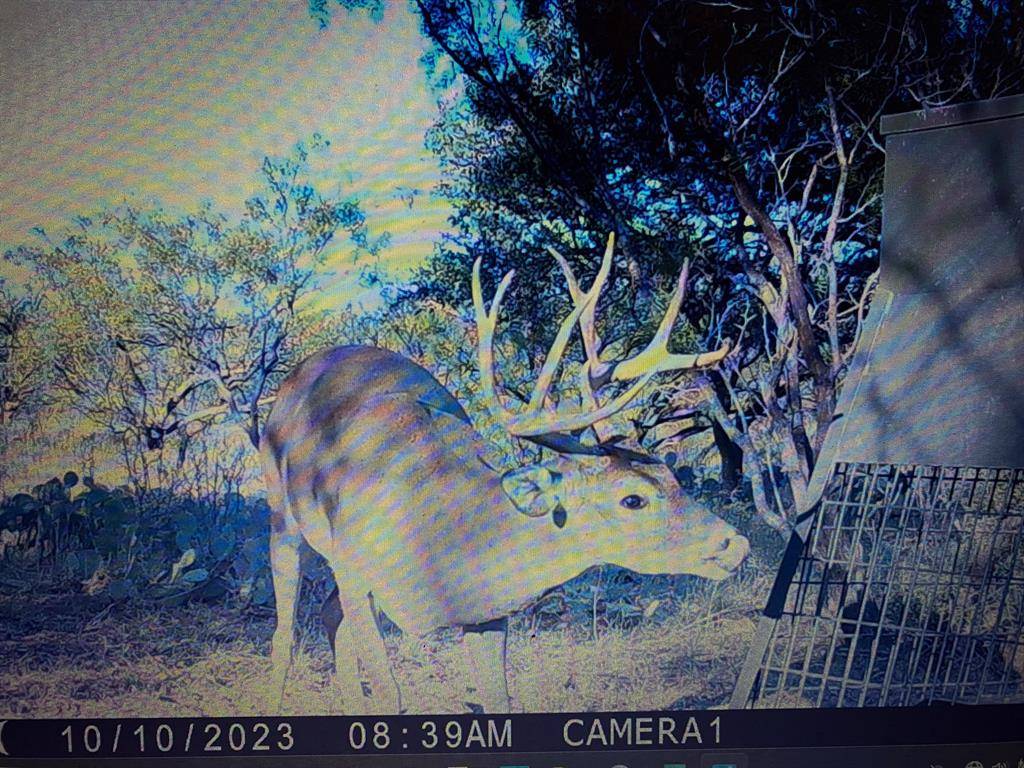 tbd TBD Cntty Rd 291, Breckenridge, TX 76464