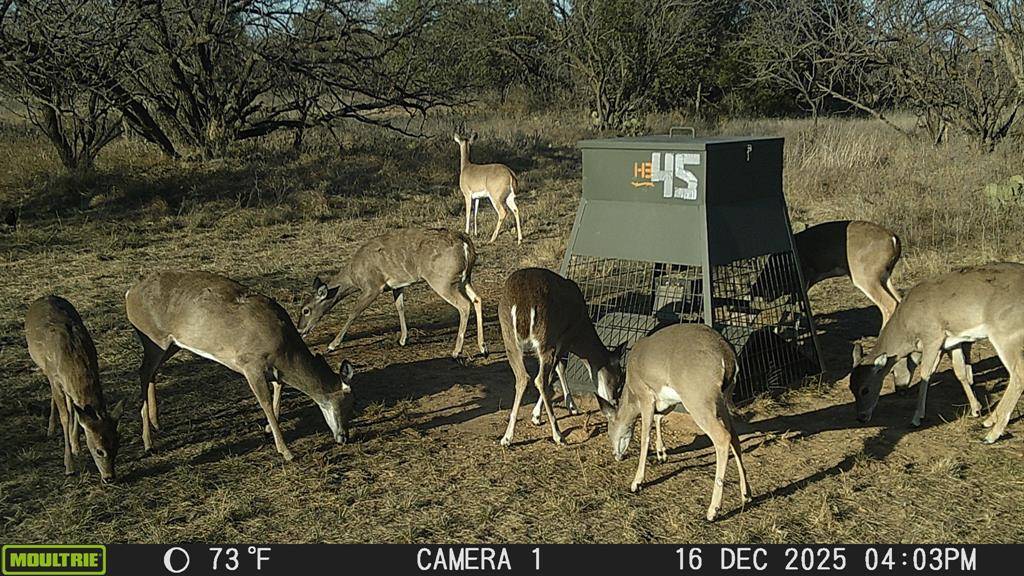 tbd TBD Cntty Rd 291, Breckenridge, TX 76464