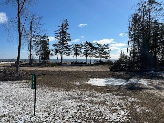 4546 N Lakeshore DR, Alcona Twp, MI 48721