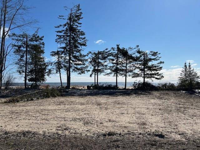 4546 N Lakeshore DR, Alcona Twp, MI 48721