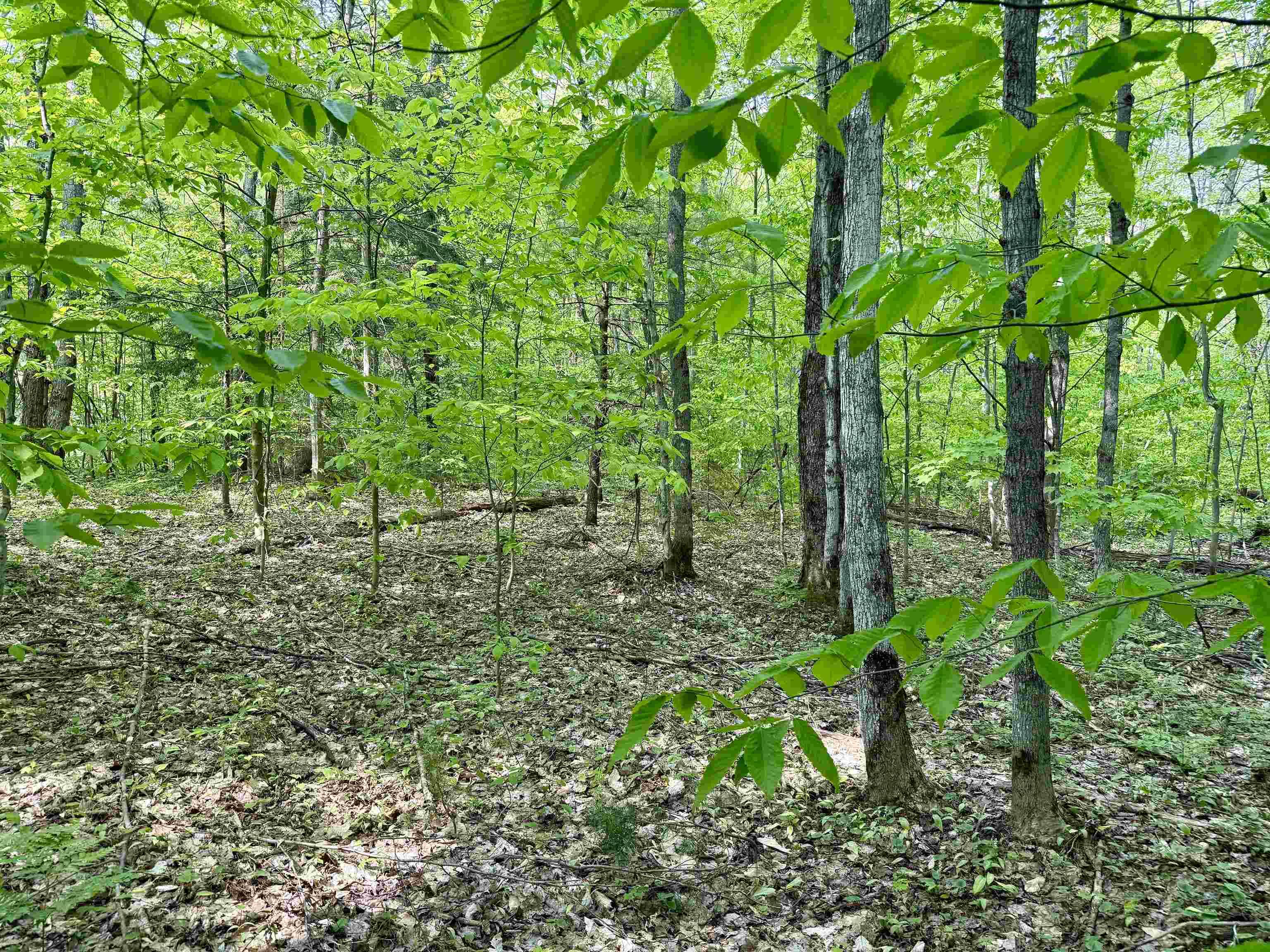 5766 E Shore DR, Coldsprings Twp, MI 49646