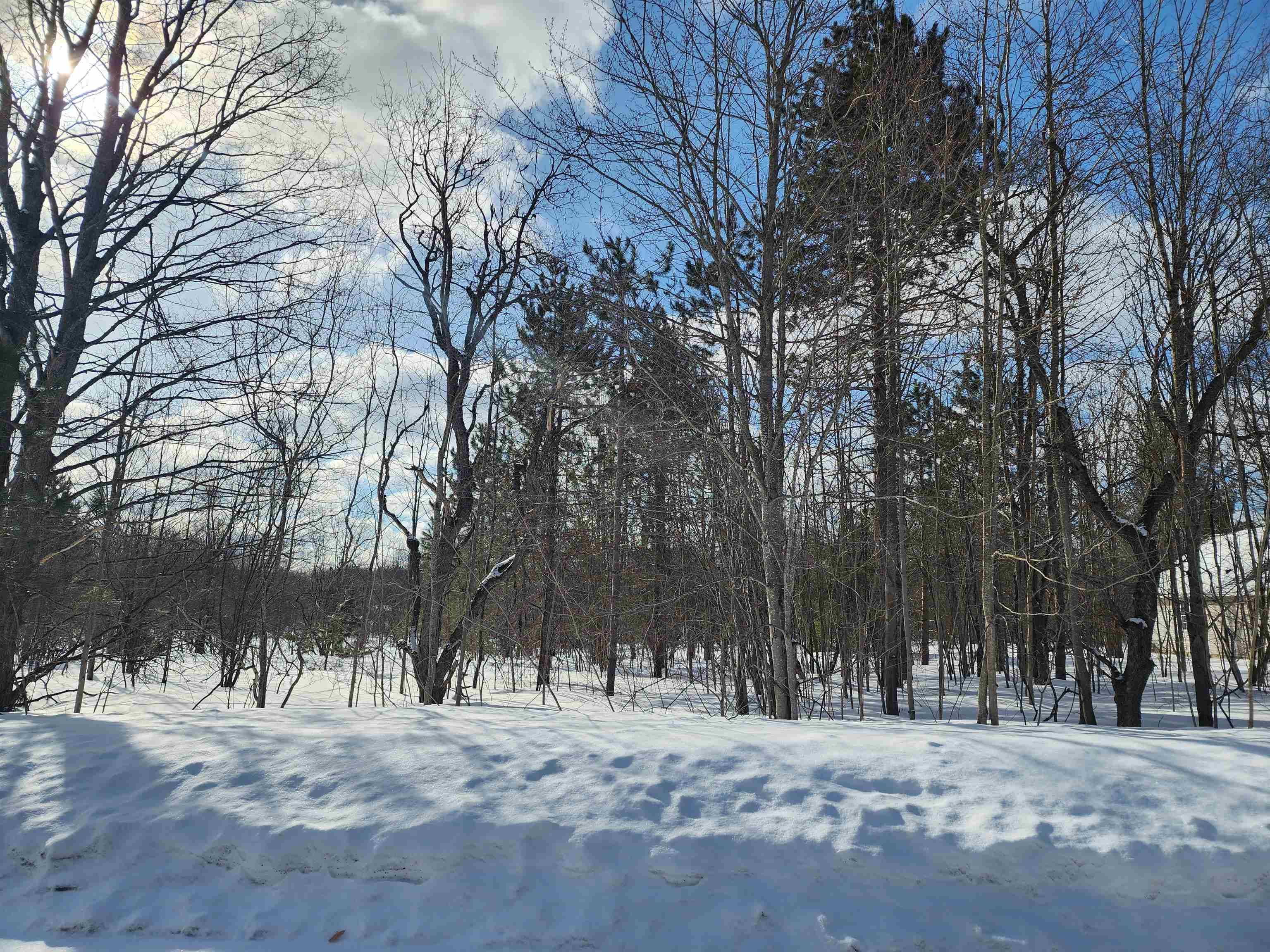 V/L Belmont DR, Mancelona Twp, MI 49659