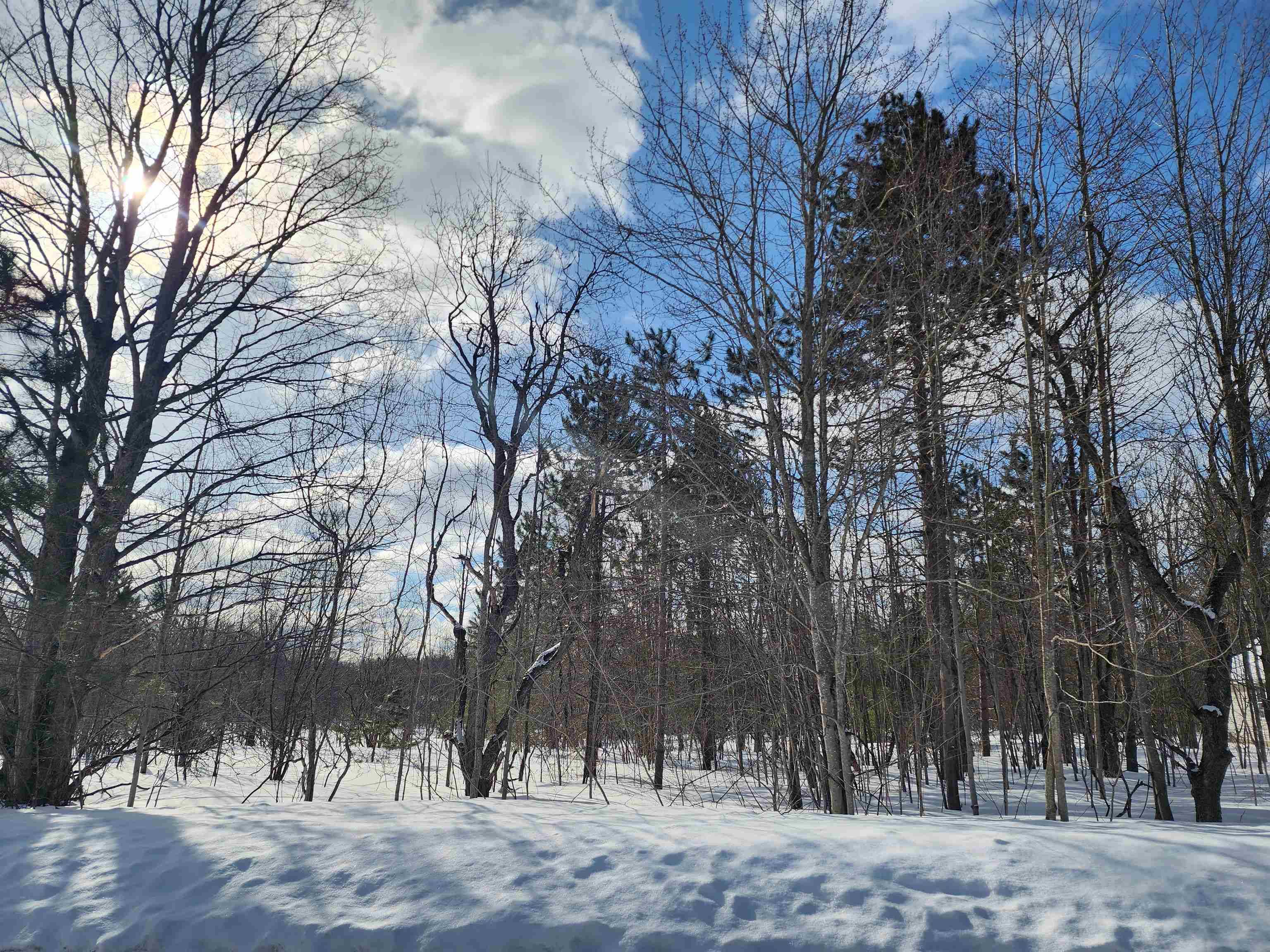 V/L Belmont DR, Mancelona Twp, MI 49659