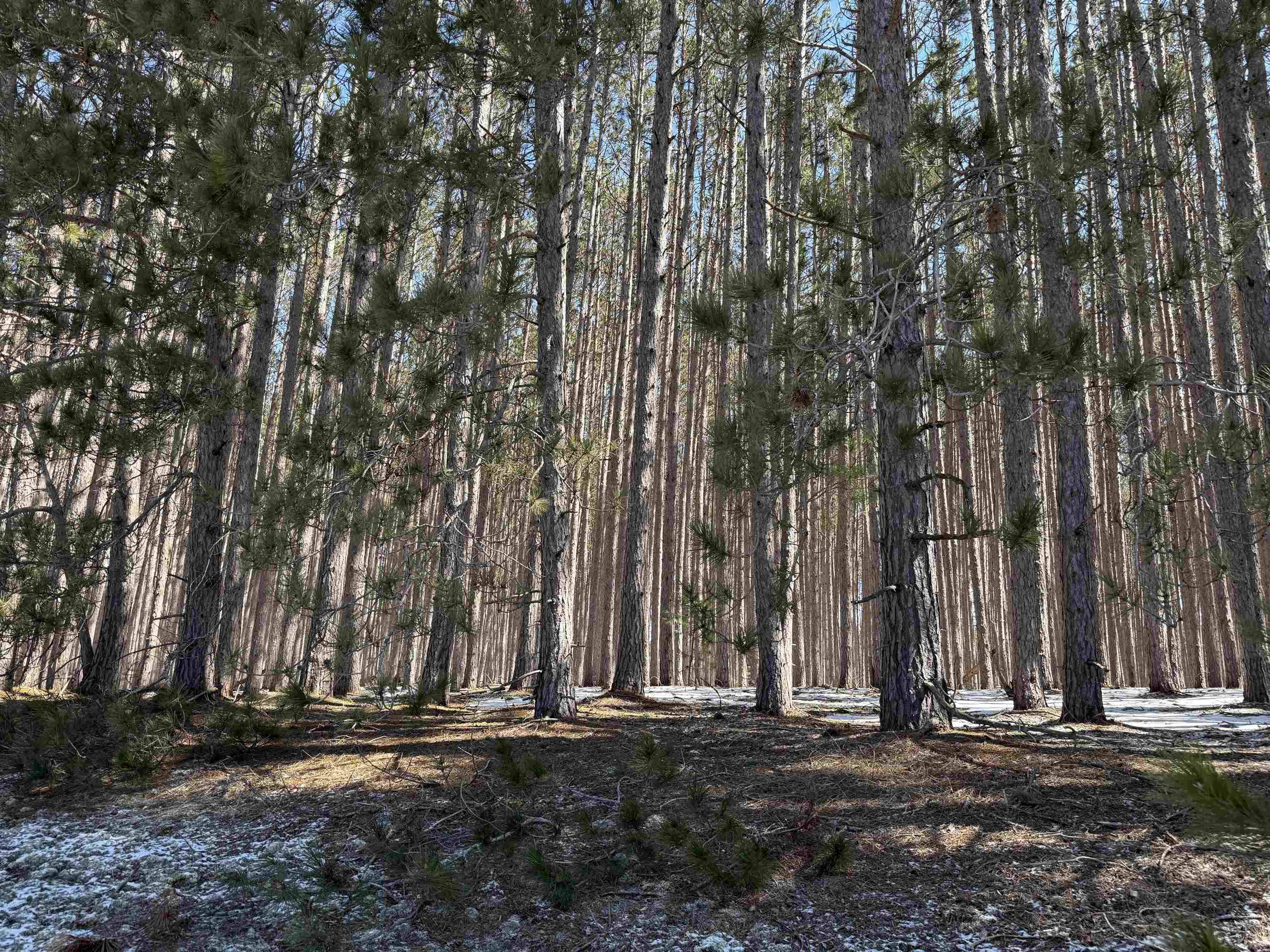 N Wheeler Lake RD, Rapid River Twp, MI 49646