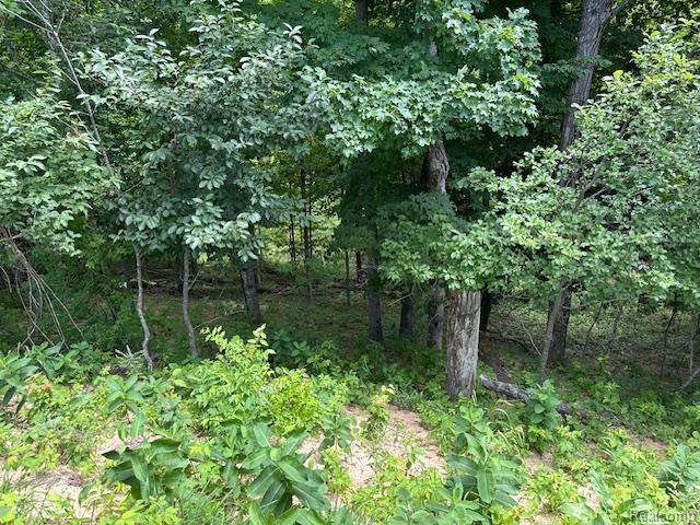 Parcel A Lake Bluff DR, Arcadia Township, MI 49613