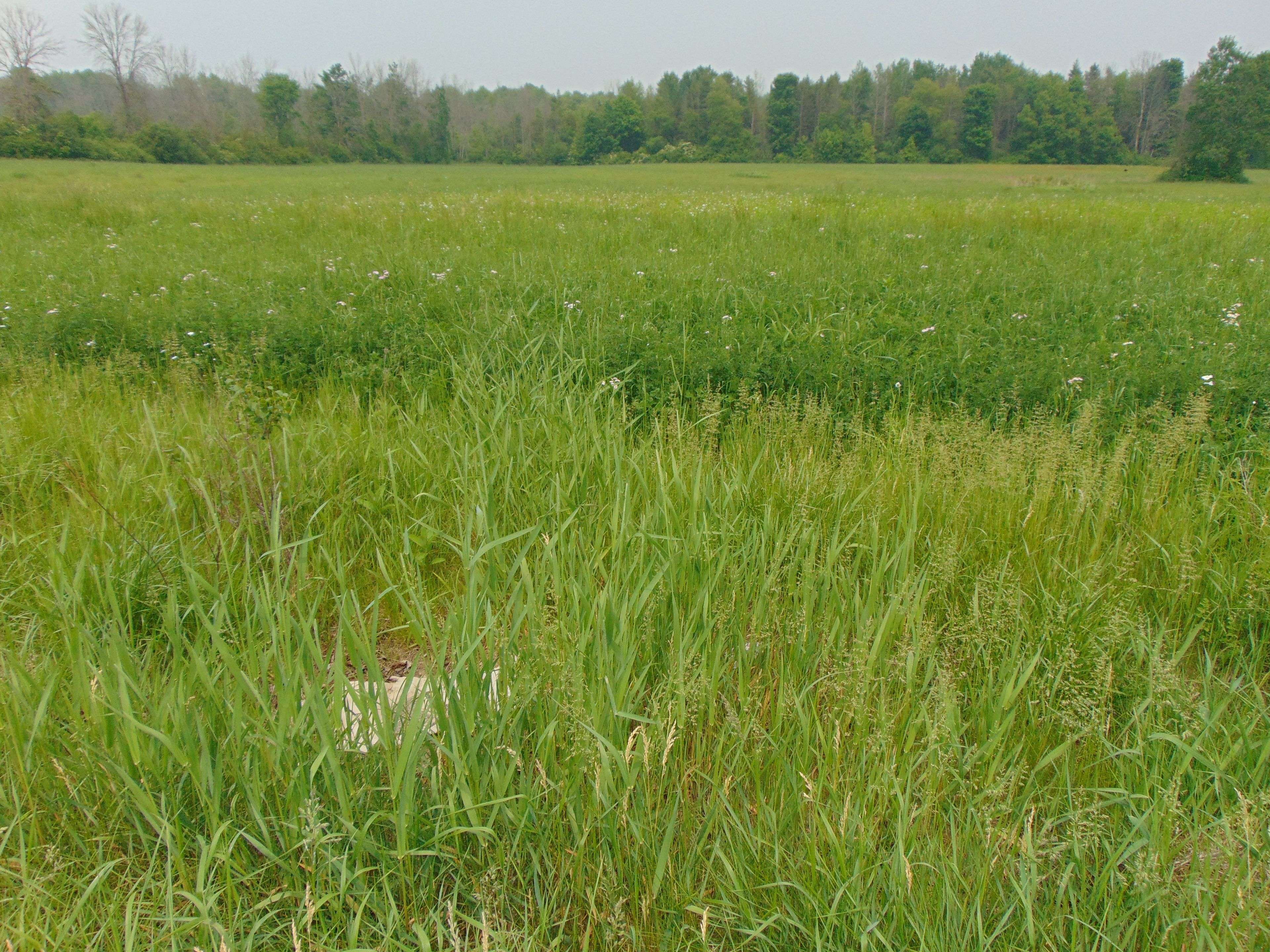 00 Charleville RD N, Augusta, ON K0E 1T0