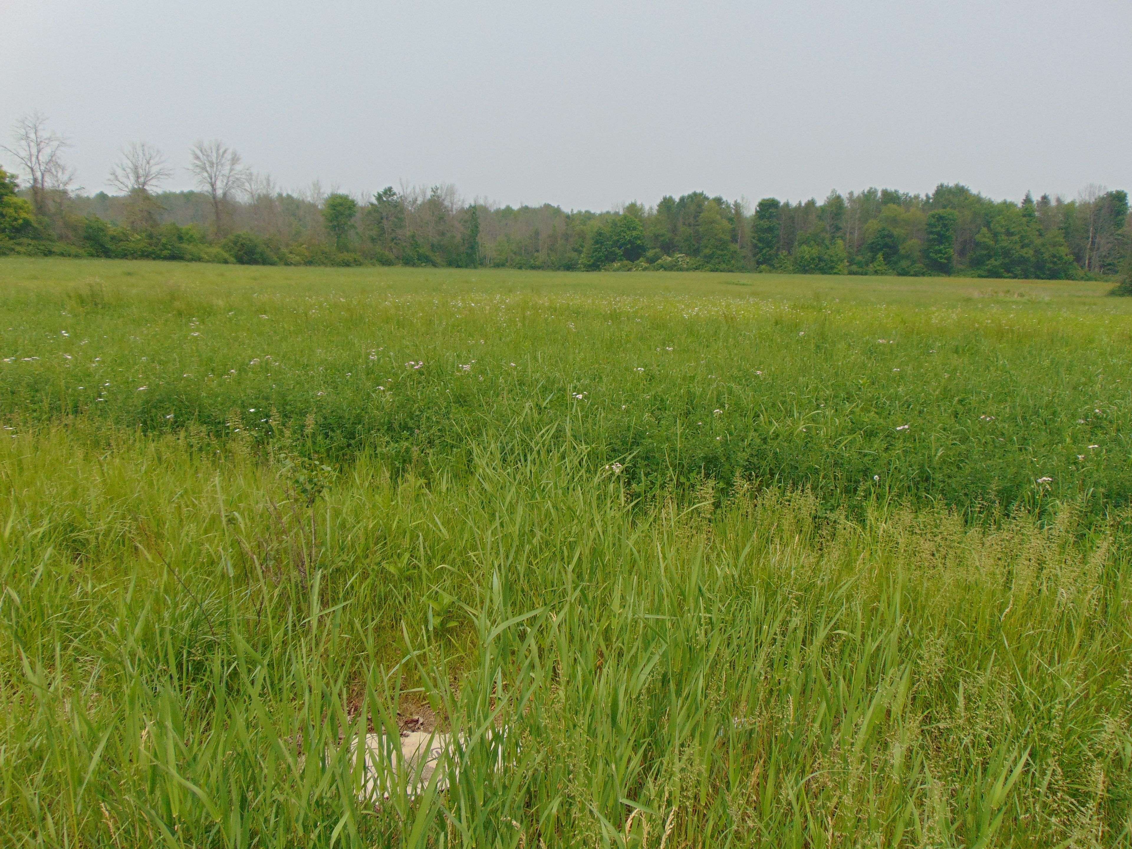 00 Charleville RD N, Augusta, ON K0E 1T0