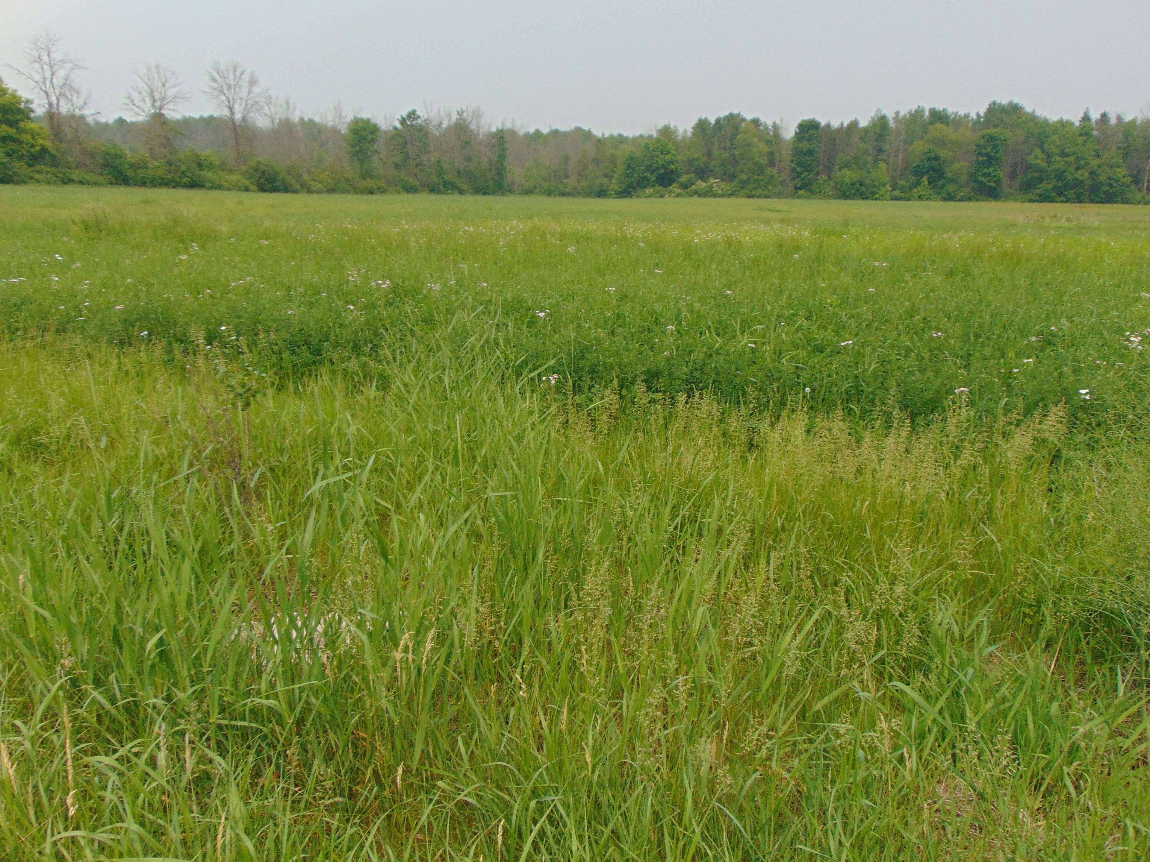 00 Charleville RD N, Augusta, ON K0E 1T0