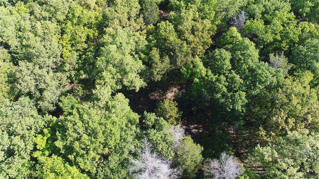 TBD 3016, Kerens, TX 75144