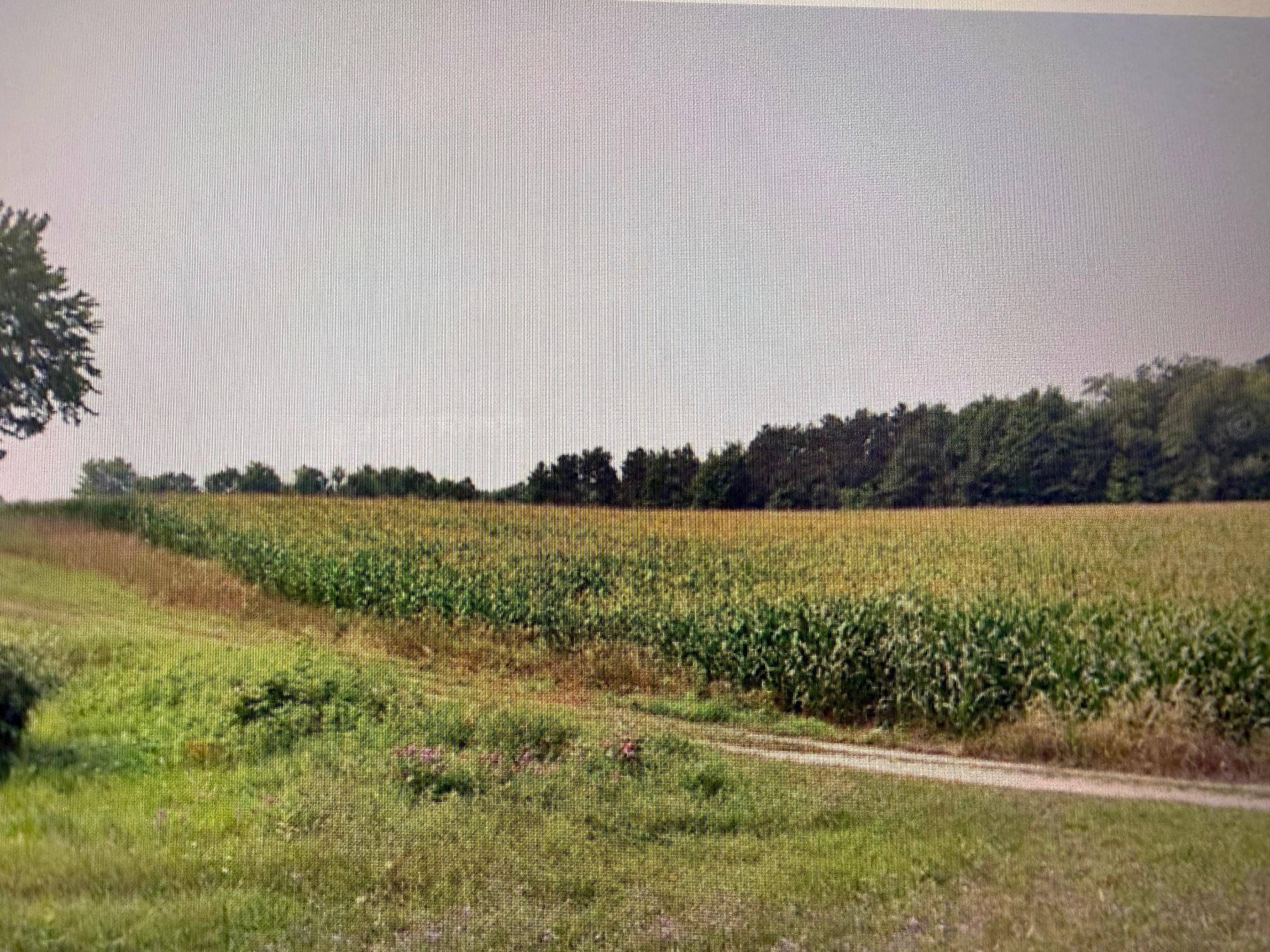 1330 Eden Hill RD, Benzonia Twp, MI 49617