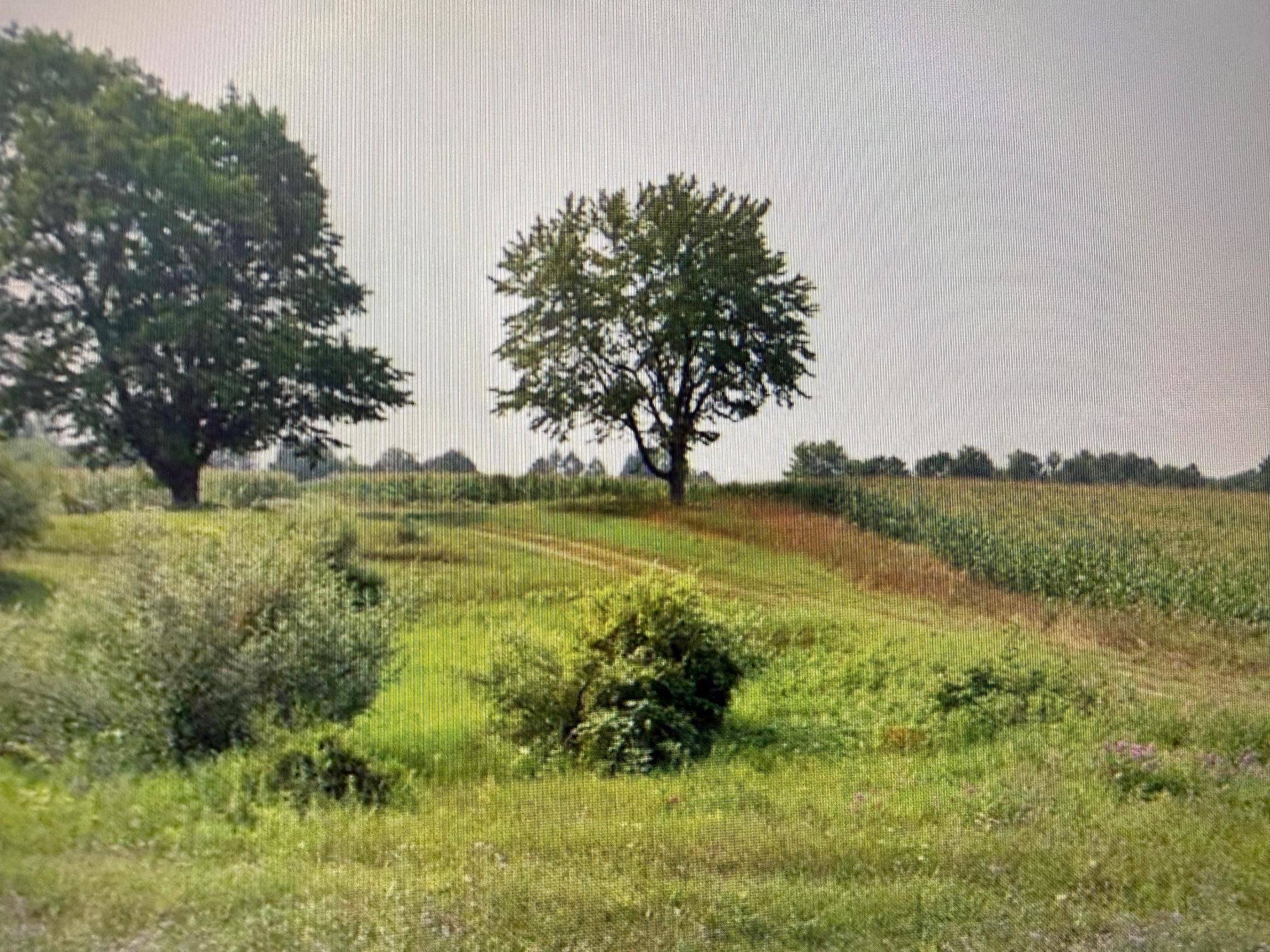 1330 Eden Hill RD, Benzonia Twp, MI 49617