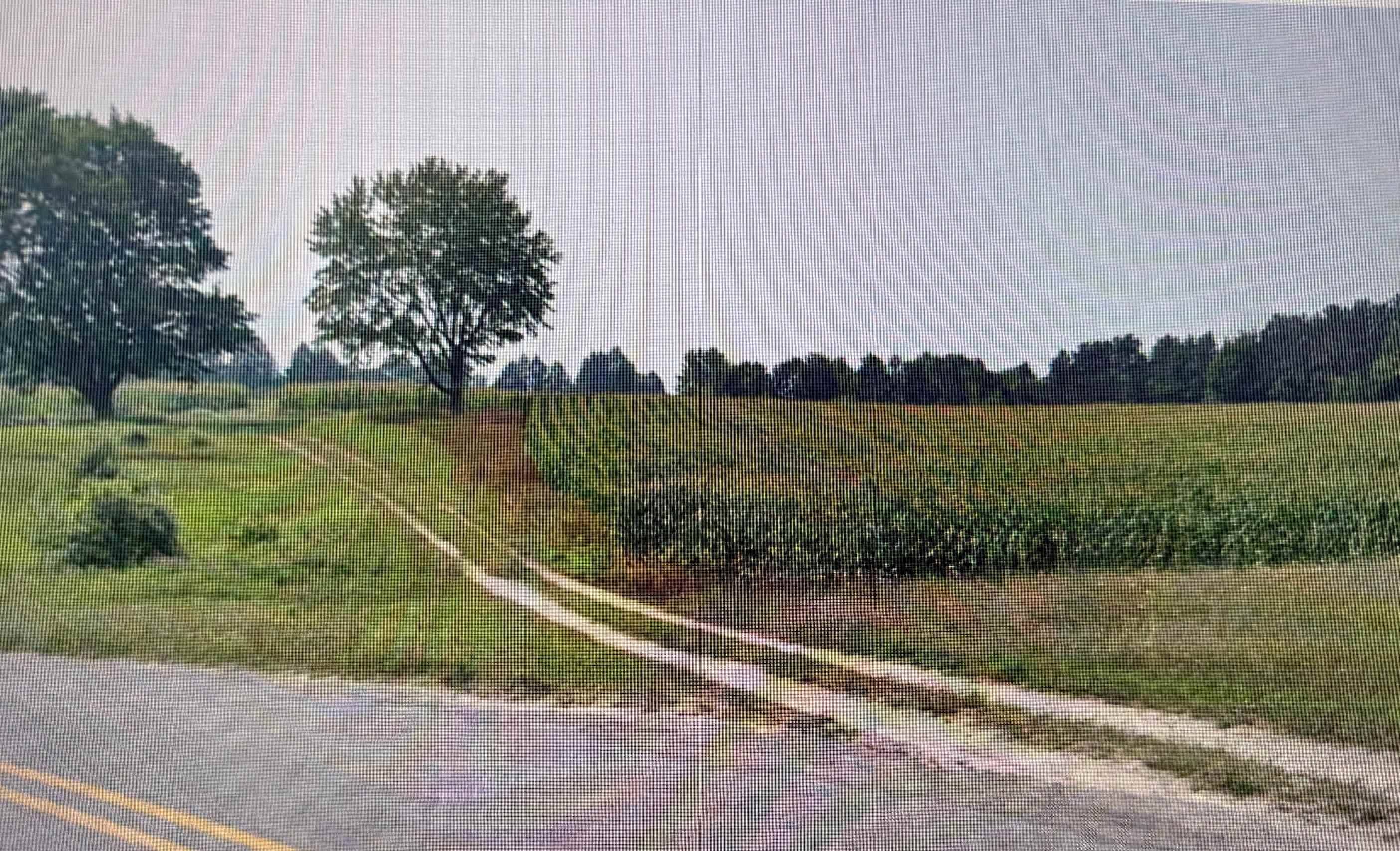 1330 Eden Hill RD, Benzonia Twp, MI 49617