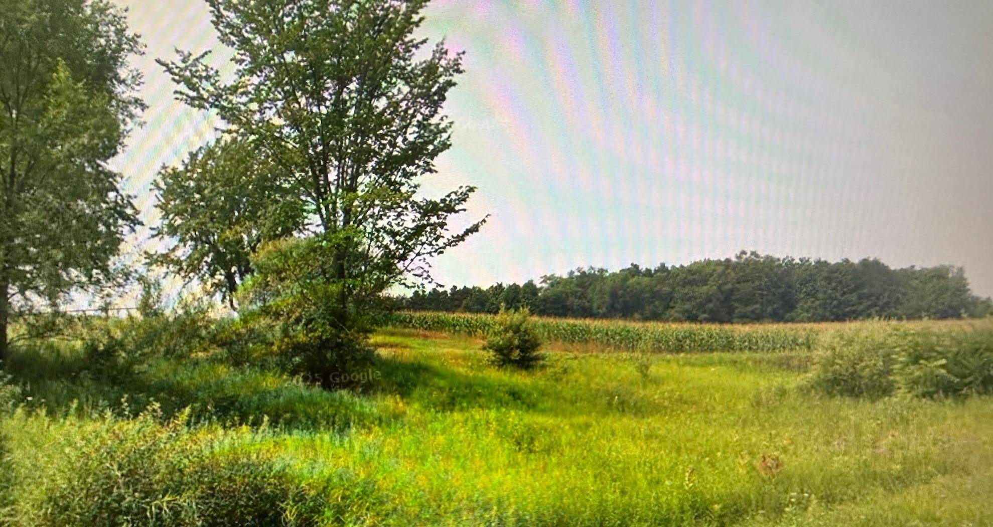 1330 Eden Hill RD, Benzonia Twp, MI 49617