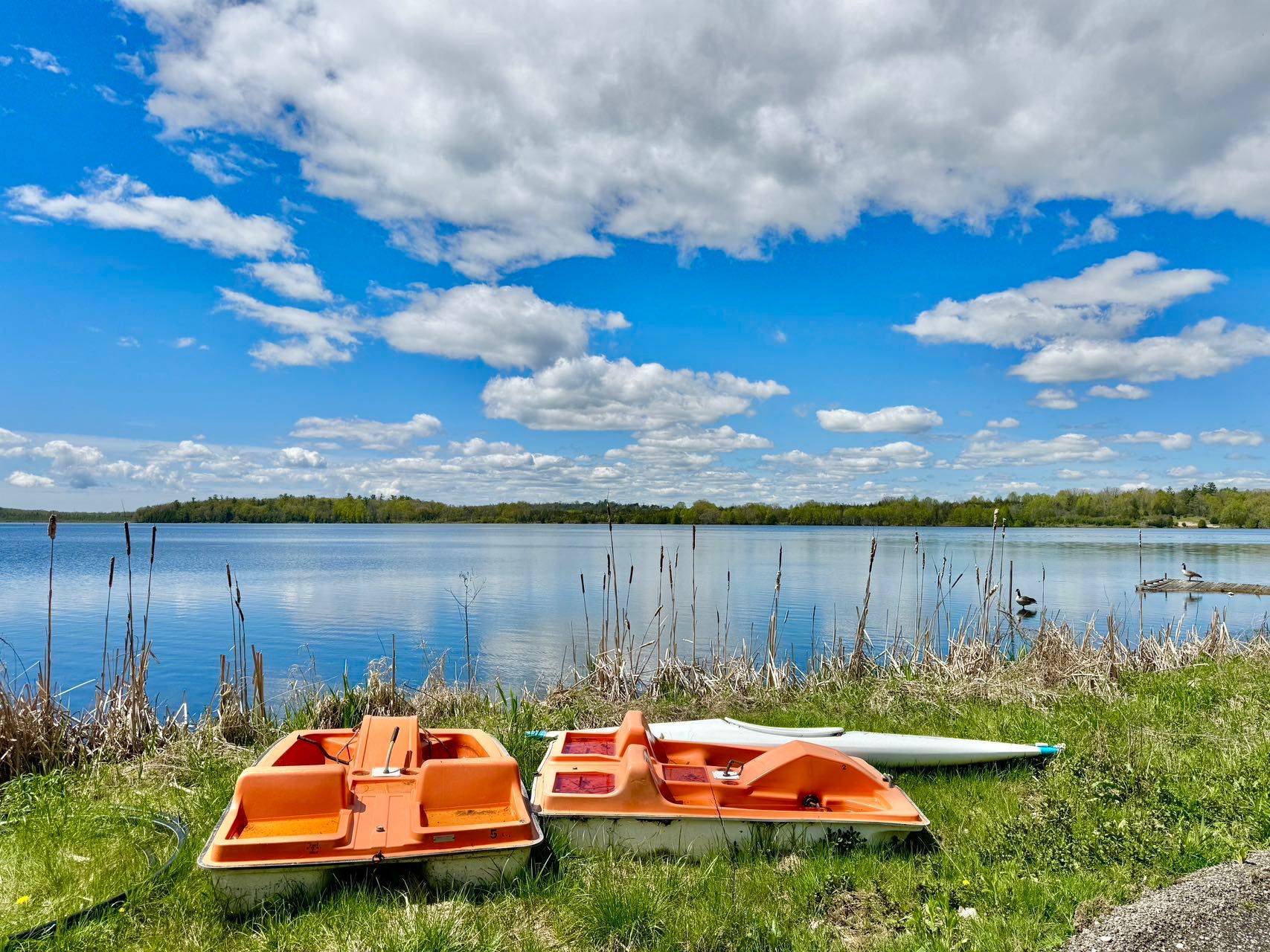 523 Island View RD ##25, Alnwick/haldimand, ON K0K 2X0