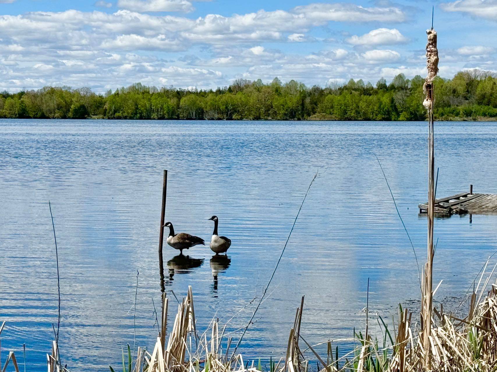 523 Island View RD ##25, Alnwick/haldimand, ON K0K 2X0