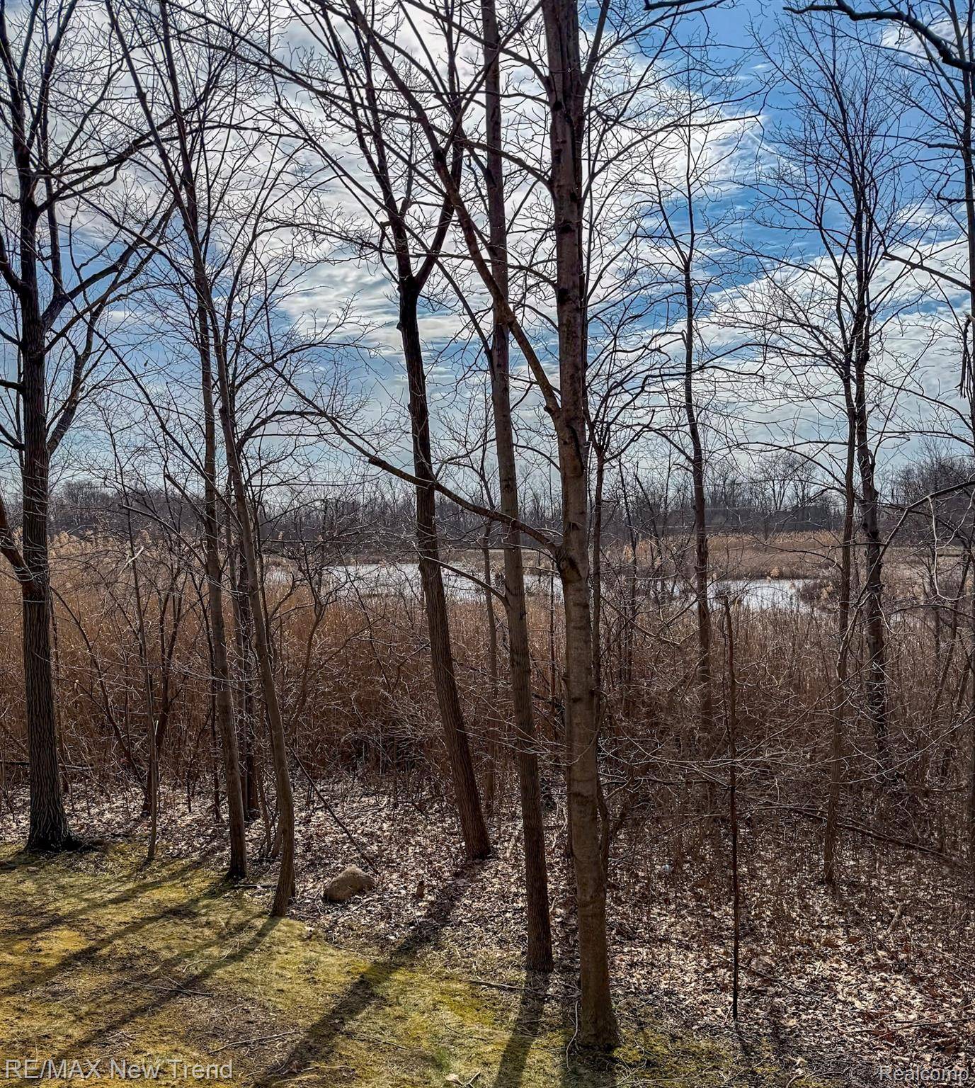 41785 Independence DR, Novi, MI 48377