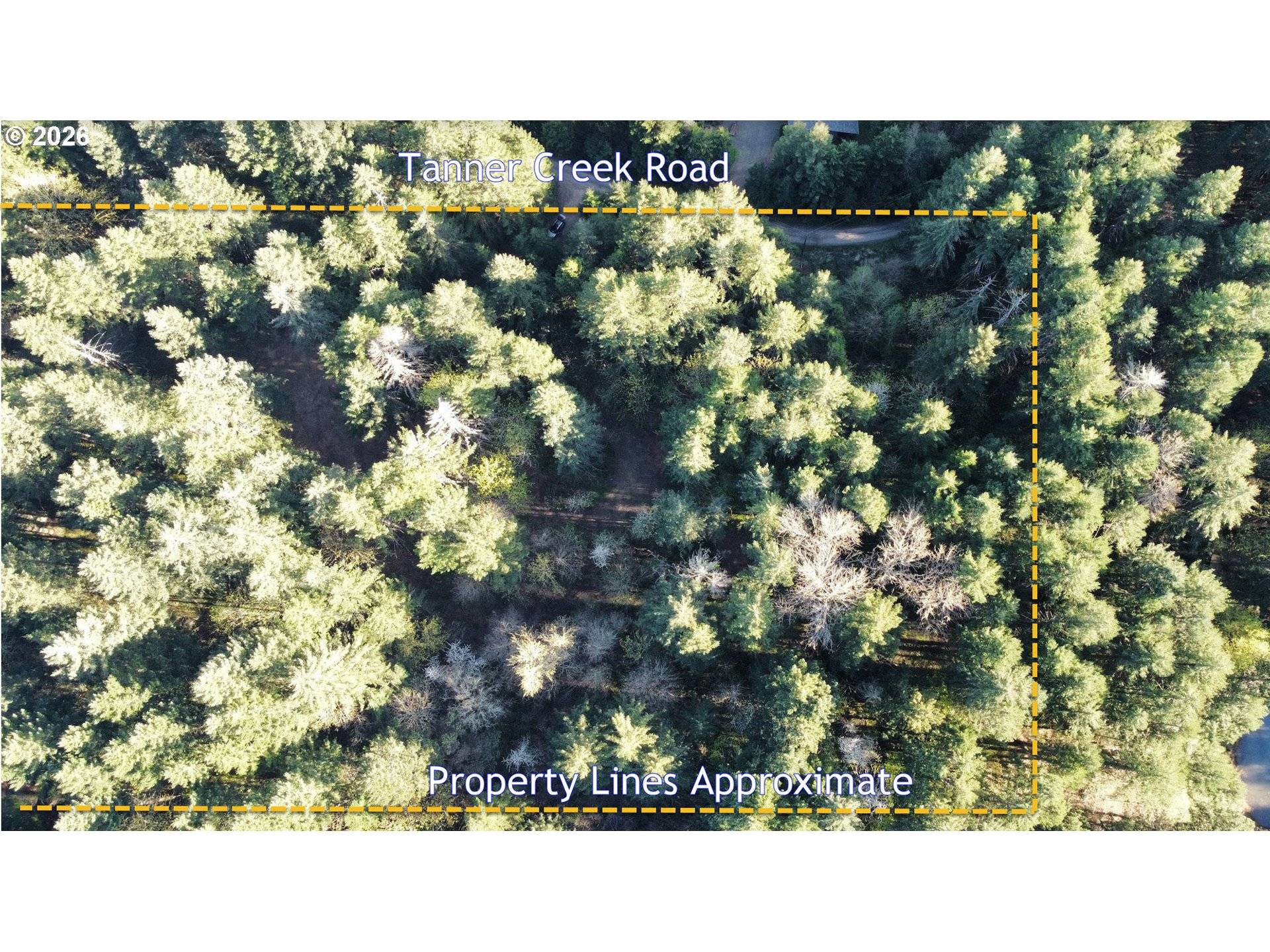 SW Tanner Creek Road, Gaston, OR 97119