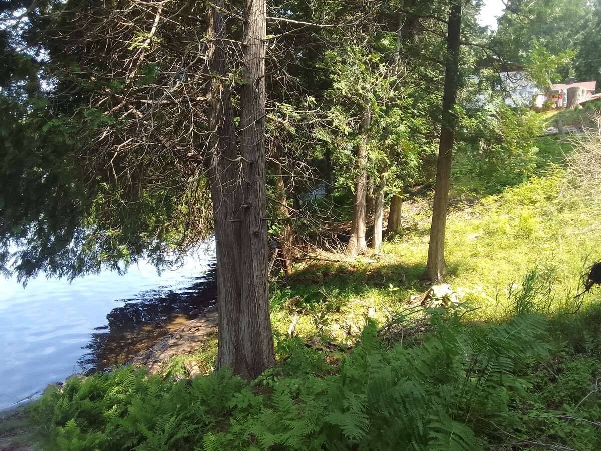 75 - 372 Murphy RD, Rideau Lakes, ON K0G 1X0