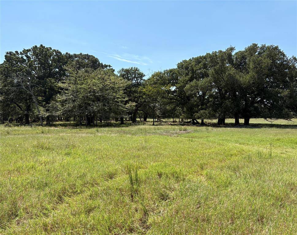 TBD 1 County Road 1168 #Tract 1, Brashear, TX 75420