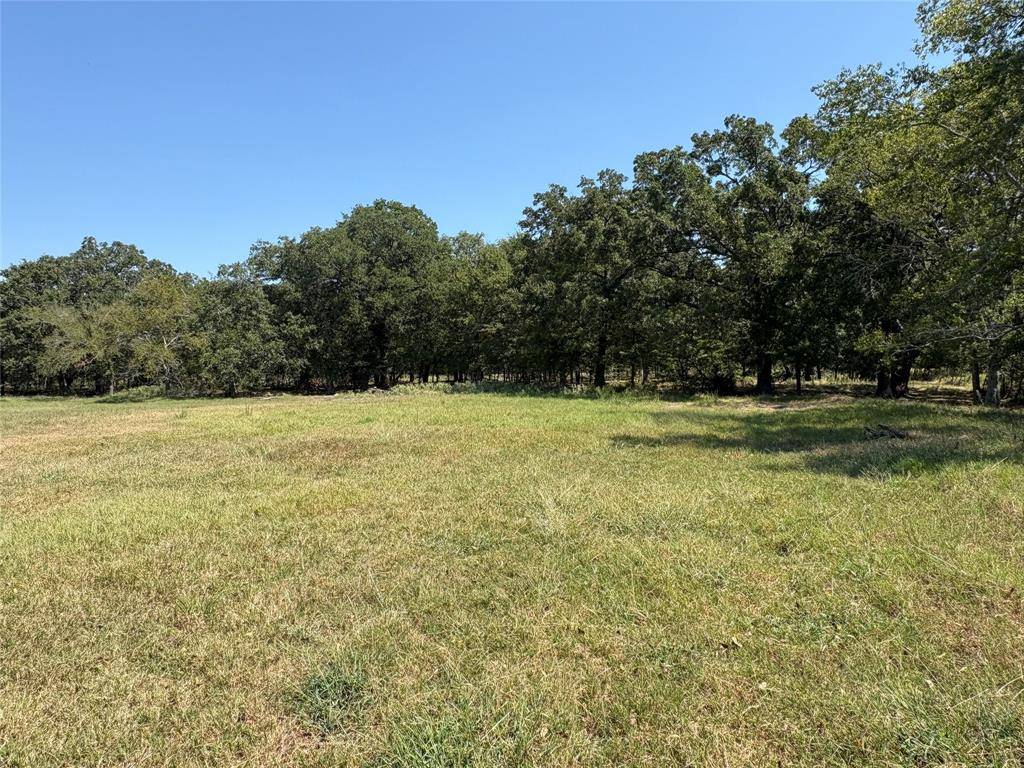 TBD 1 County Road 1168 #Tract 1, Brashear, TX 75420