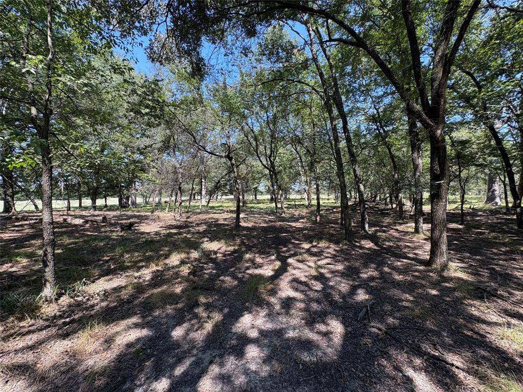 TBD 1 County Road 1168 #Tract 1, Brashear, TX 75420