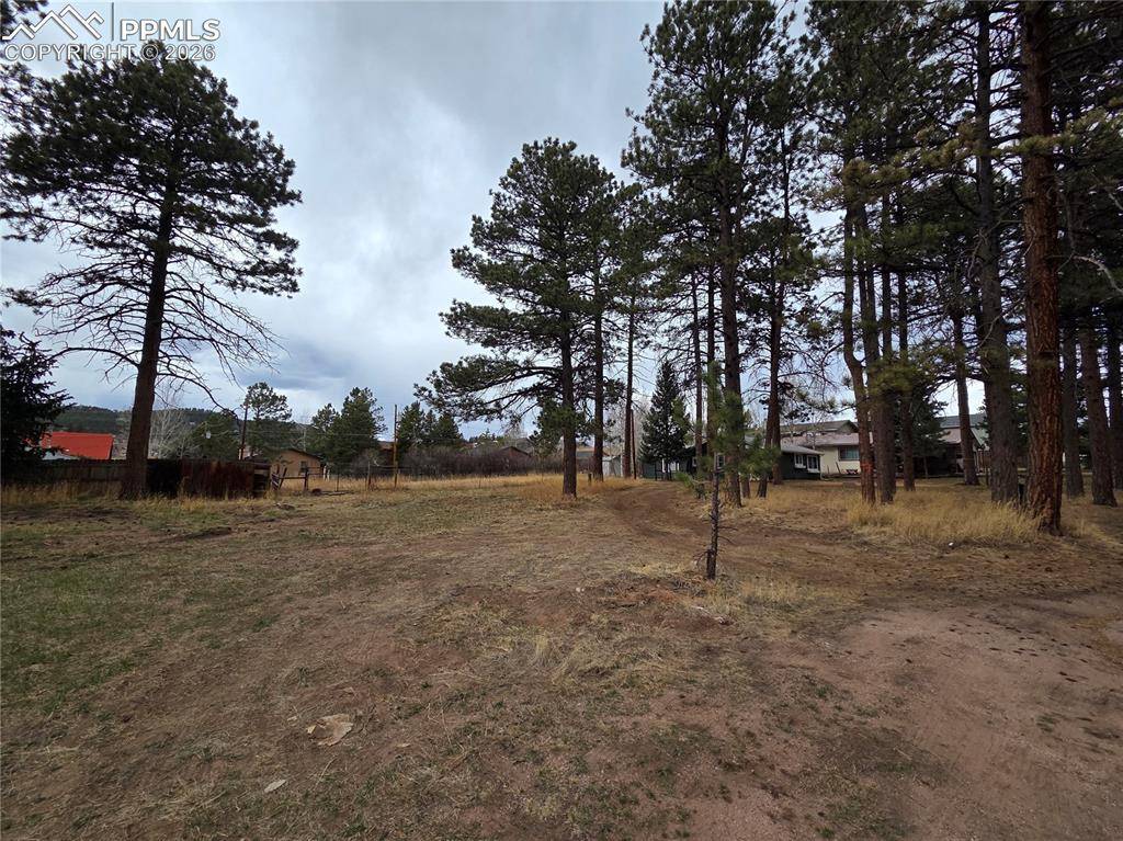 224 S Fairview ST, Woodland Park, CO 80863