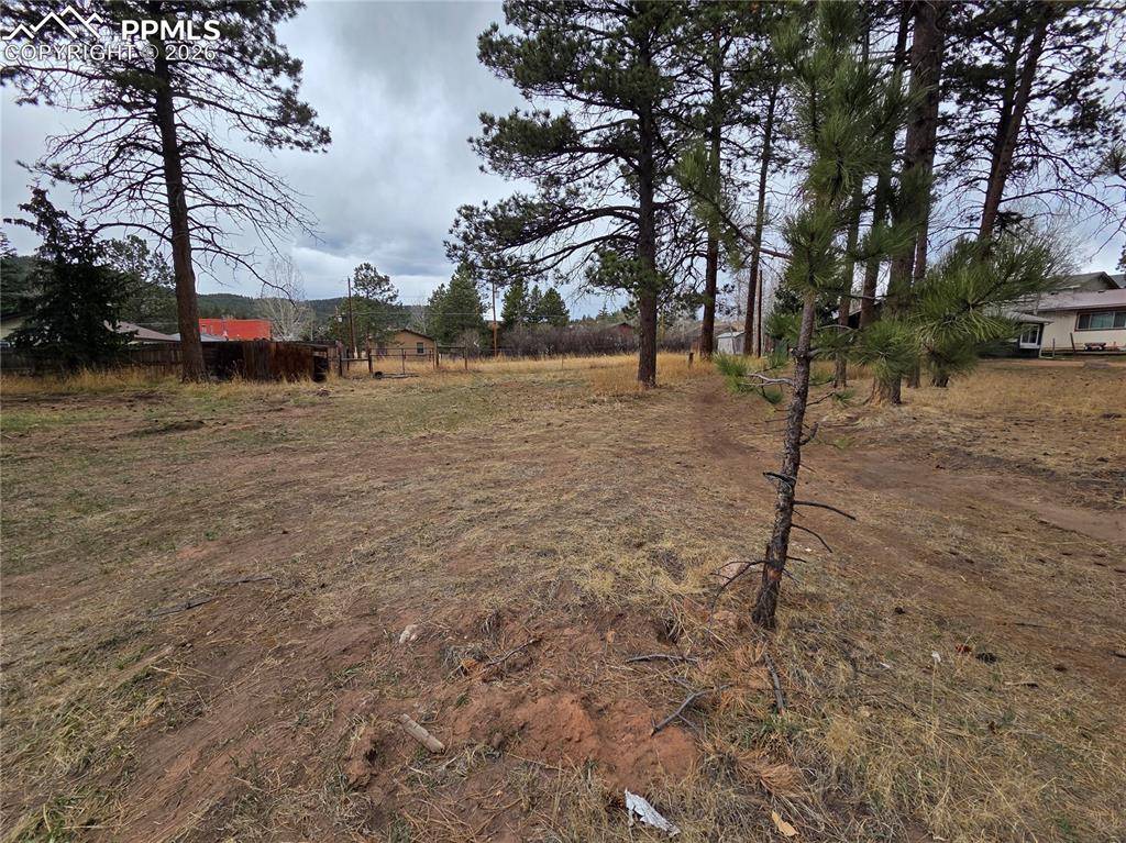 224 S Fairview ST, Woodland Park, CO 80863