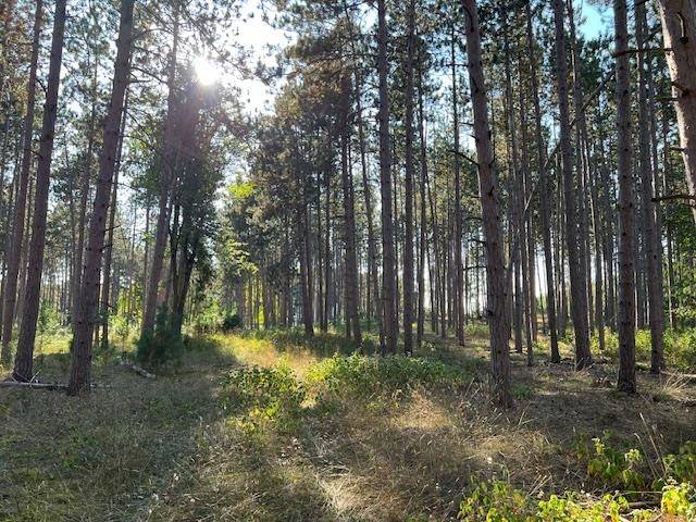 Samels RD, Whitewater Twp, MI 49690