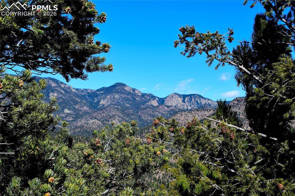 3735 Big Spruce HTS, Colorado Springs, CO 80926