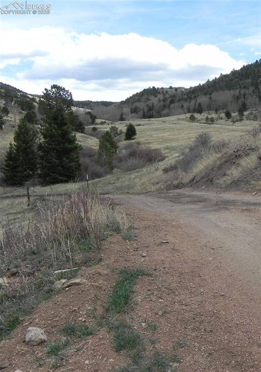 521 Monarch DR, Cripple Creek, CO 80813