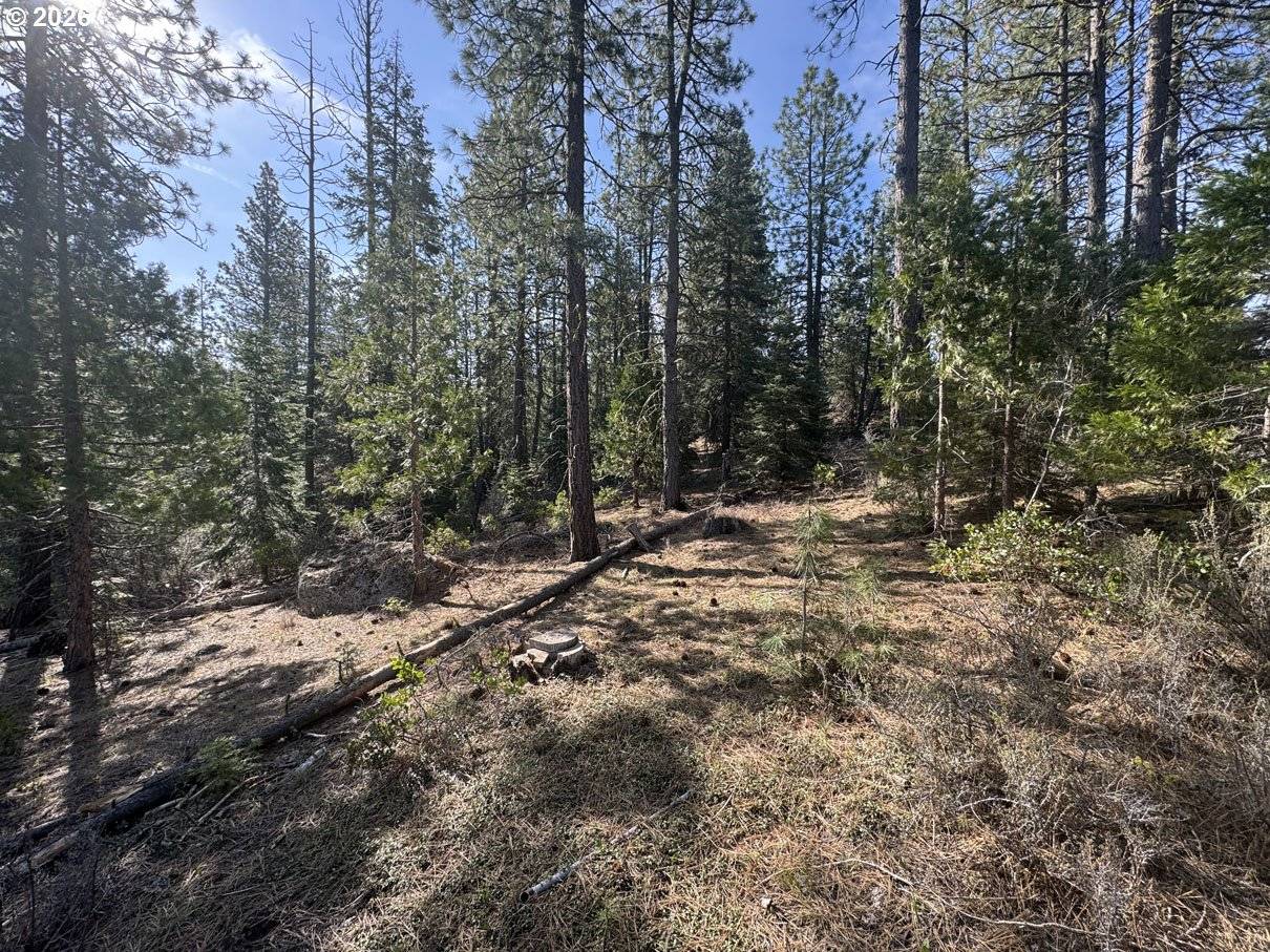 Cardinal Drive #4, Bonanza, OR 97623