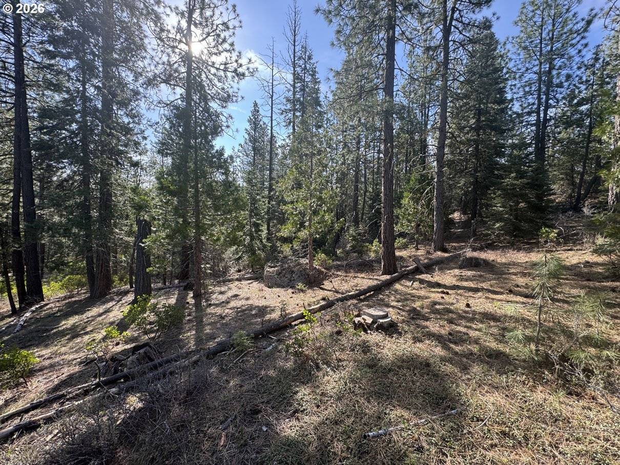 Cardinal Drive #4, Bonanza, OR 97623