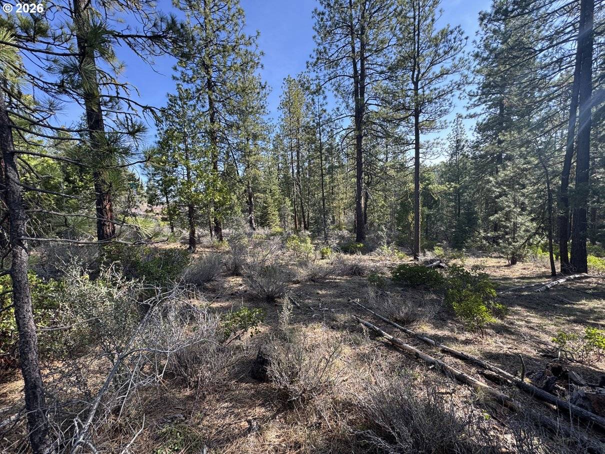 Cardinal Drive #4, Bonanza, OR 97623