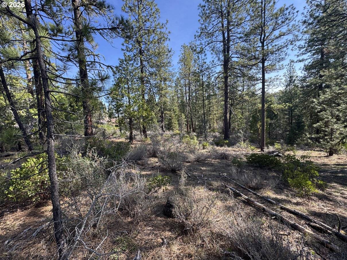 Cardinal Drive #4, Bonanza, OR 97623