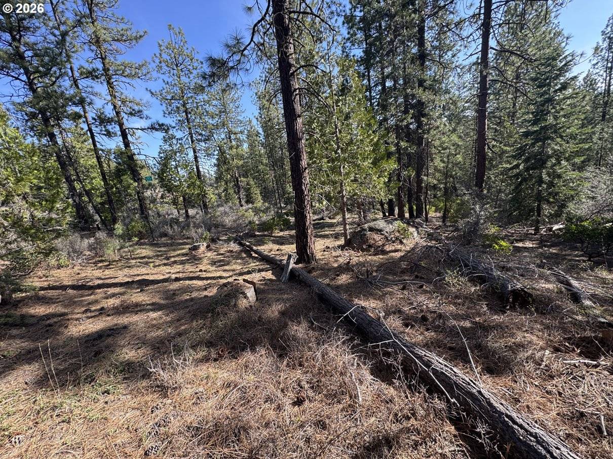 Cardinal Drive #4, Bonanza, OR 97623