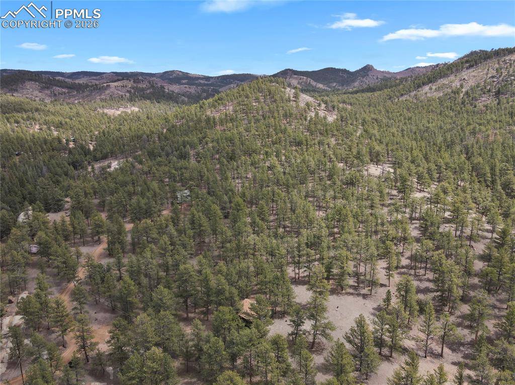 88 Crystal LN, Lake George, CO 80827