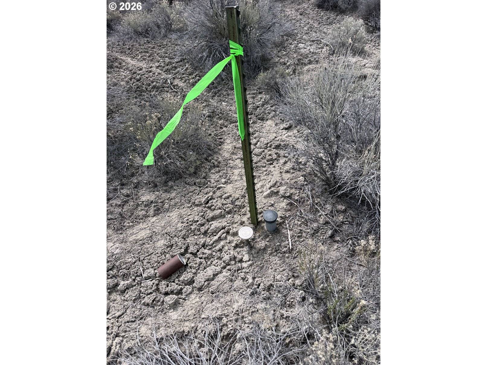 Fossil Lake Road #100, Christmas Valley, OR 97641