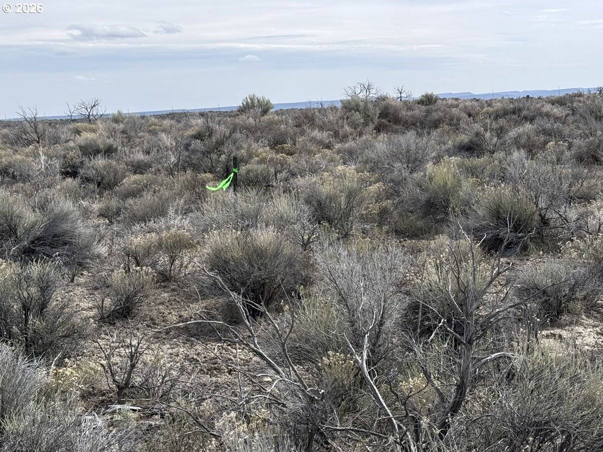 Fossil Lake Road #100, Christmas Valley, OR 97641
