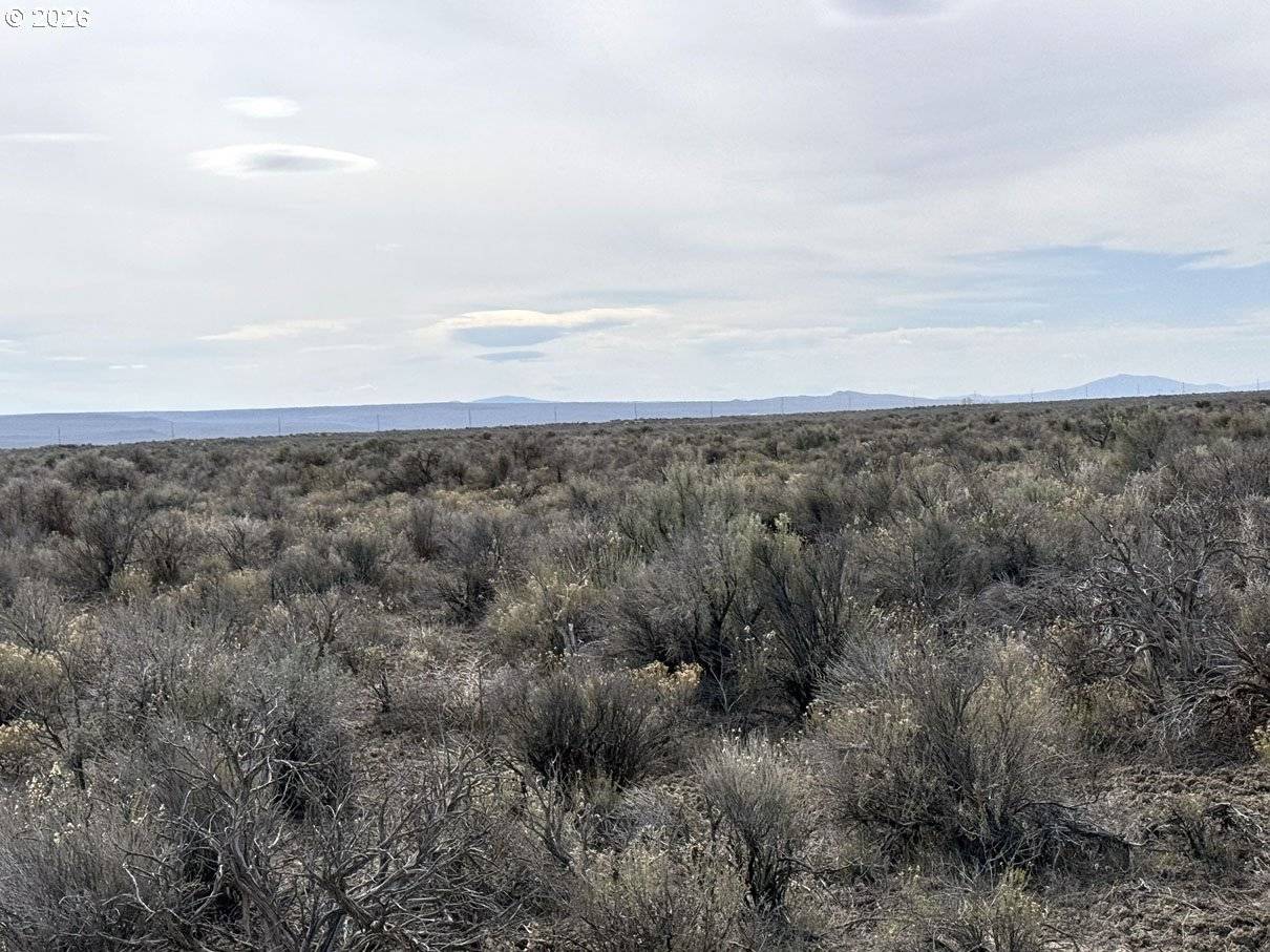 Fossil Lake Road #100, Christmas Valley, OR 97641