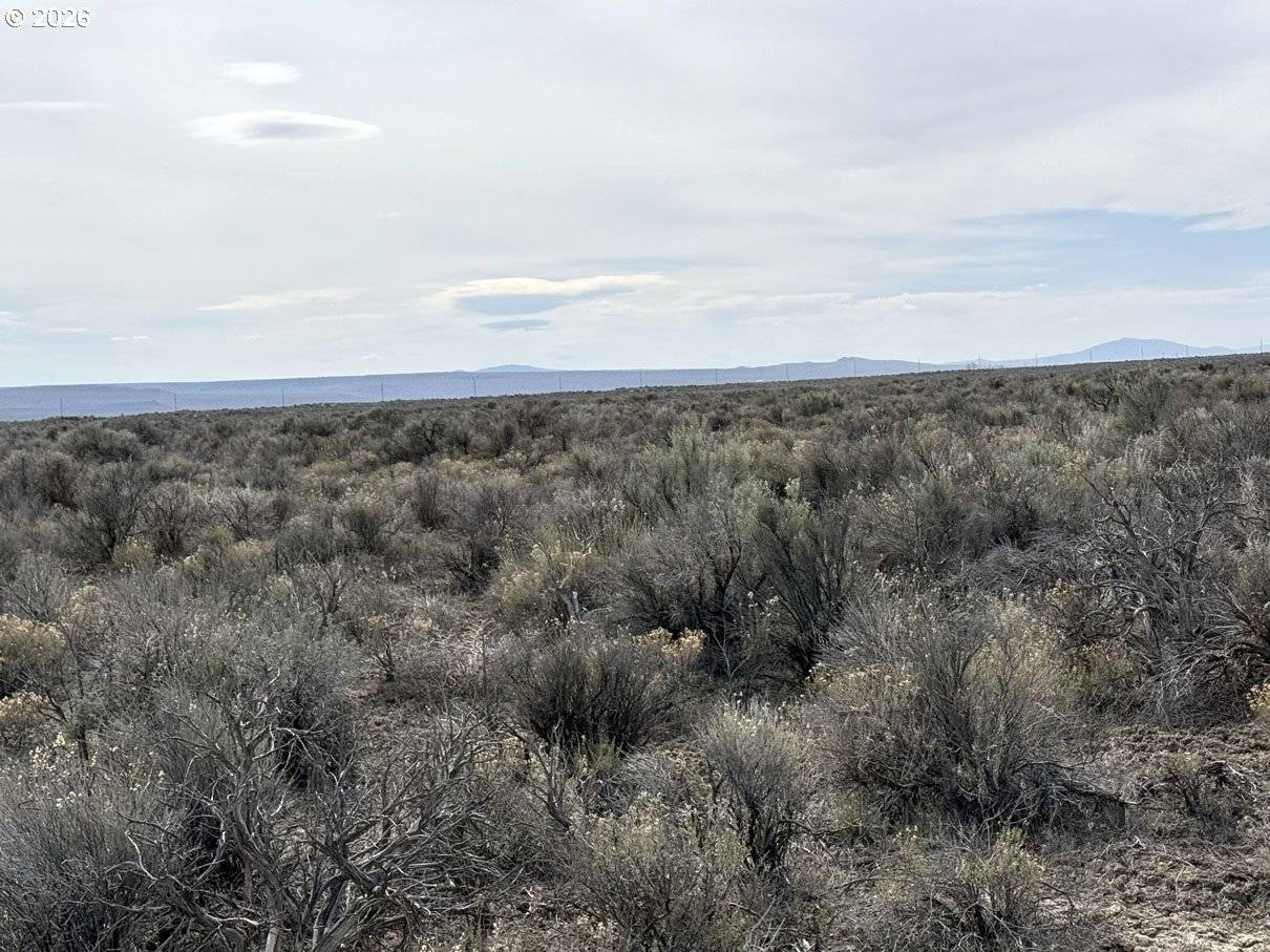Fossil Lake Road #100, Christmas Valley, OR 97641