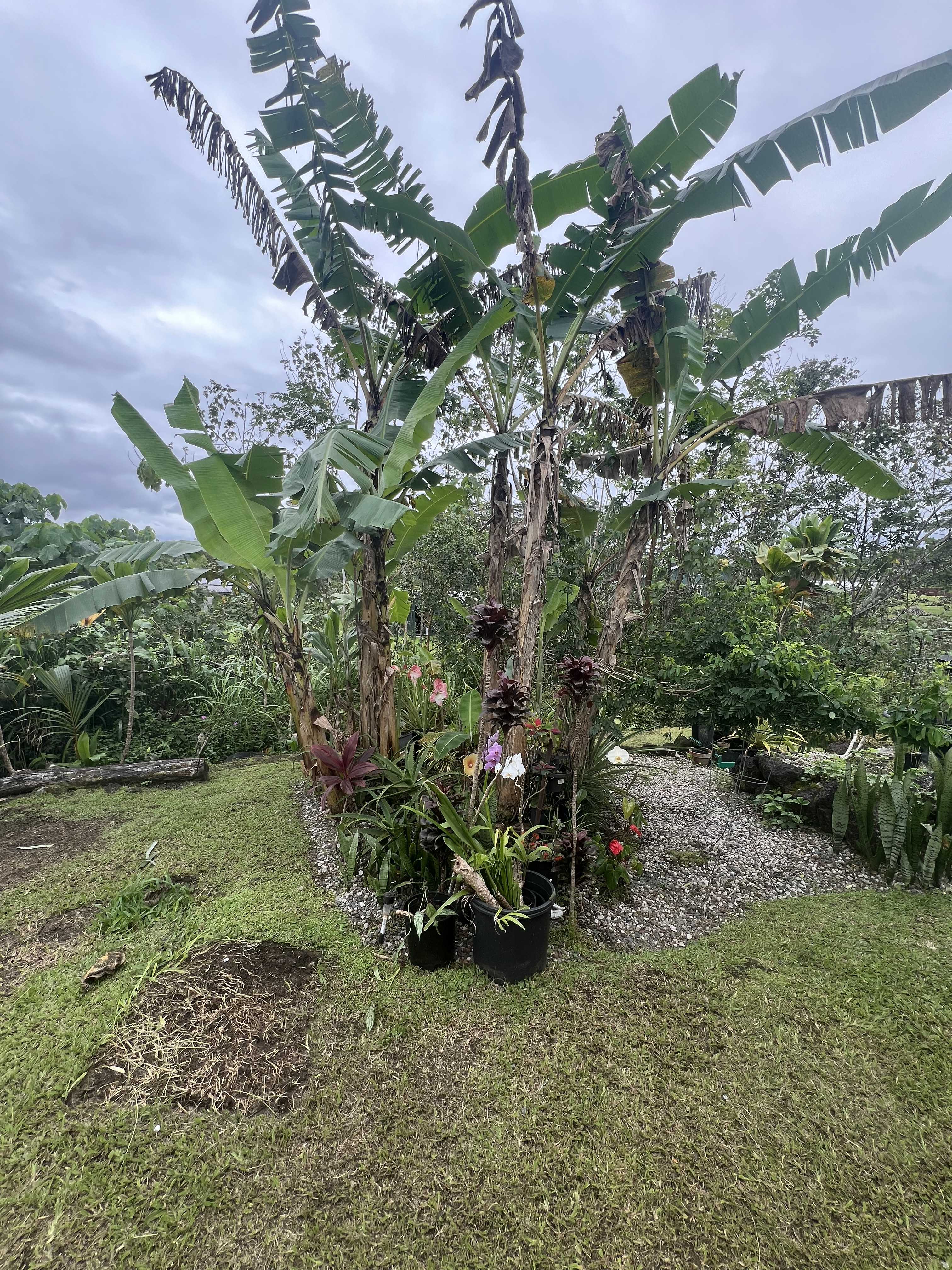 15-1414 18TH AVE, Keaau, HI 96749