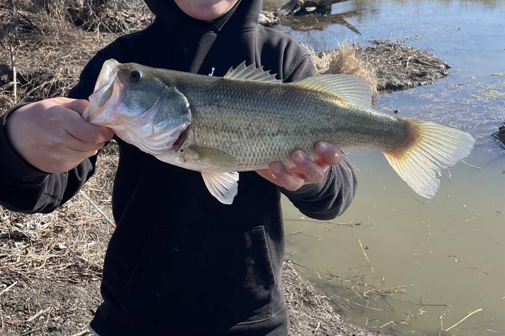 707 Cullins Road, Rockwall, TX 75032