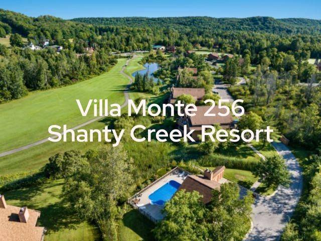 6658 Schuss Mountain LN, Custer Twp, MI 49659