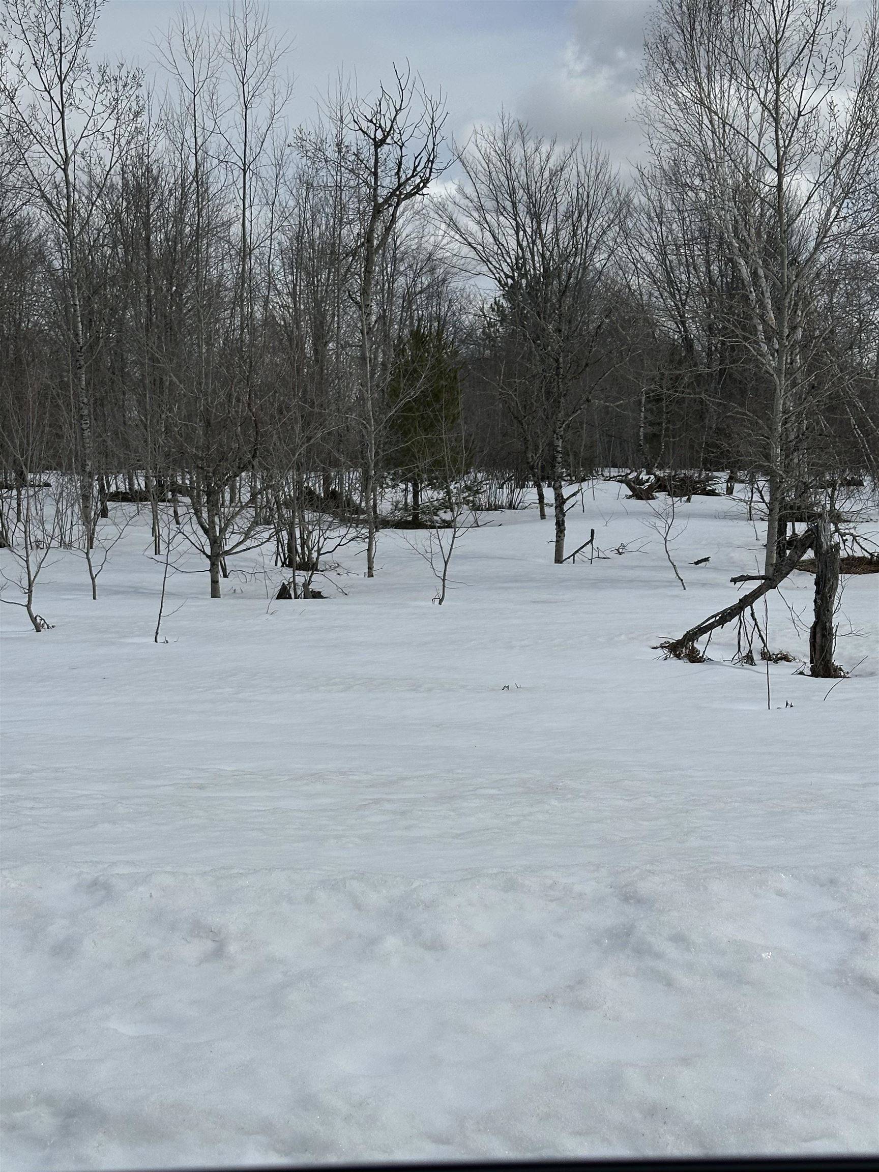 TBD Clarmont DR, Mancelona Twp, MI 49659