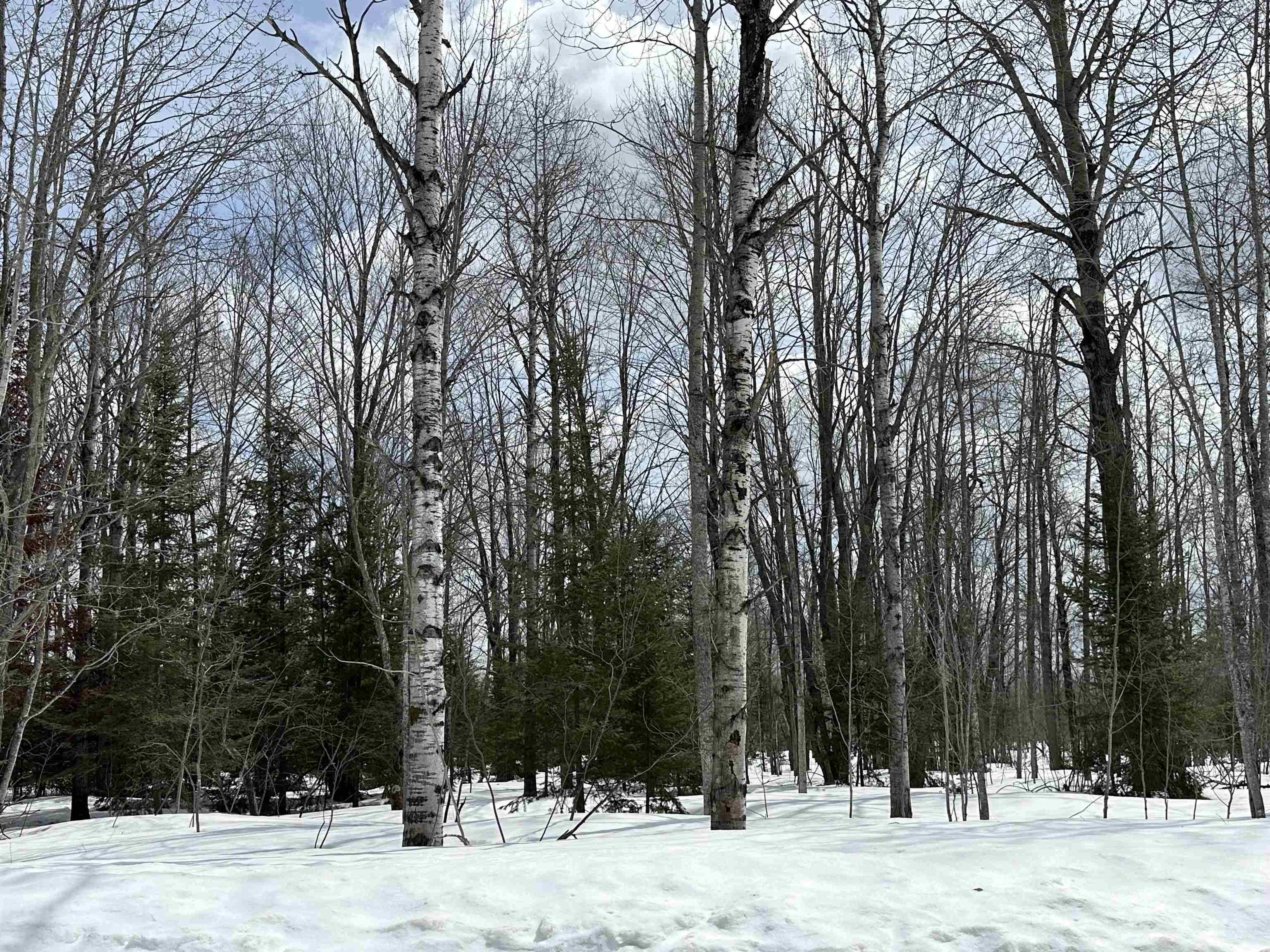 TBD Thornton DR, Mancelona Twp, MI 49659