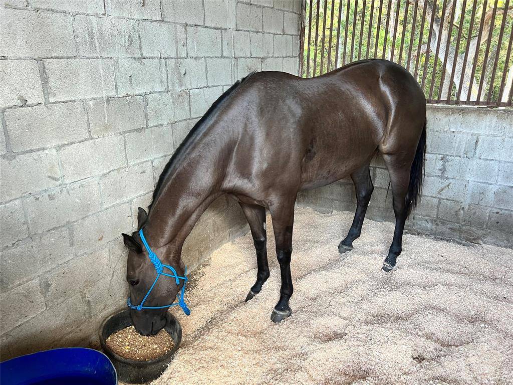 1327 County Road 3702, Quinlan, TX 75474